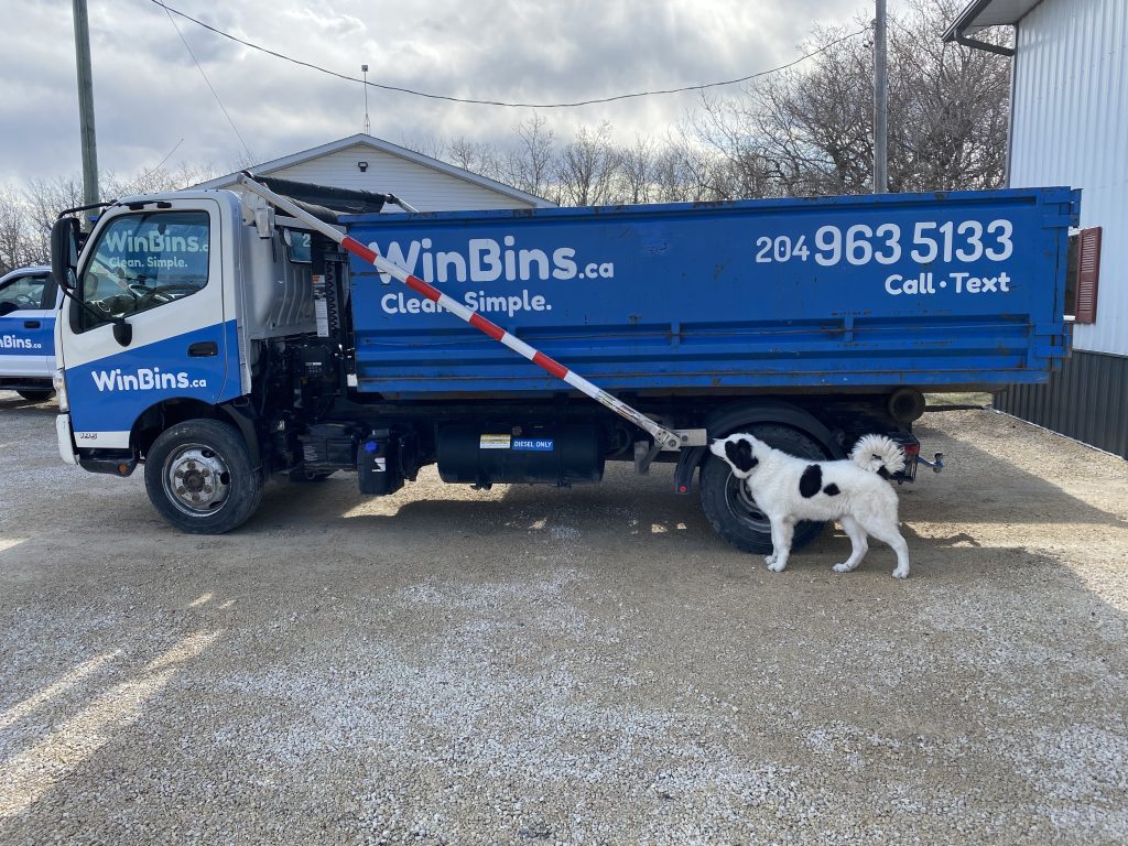 Winnipeg Bin & Dumpster Rentals by WinBins - Loki with WinBin